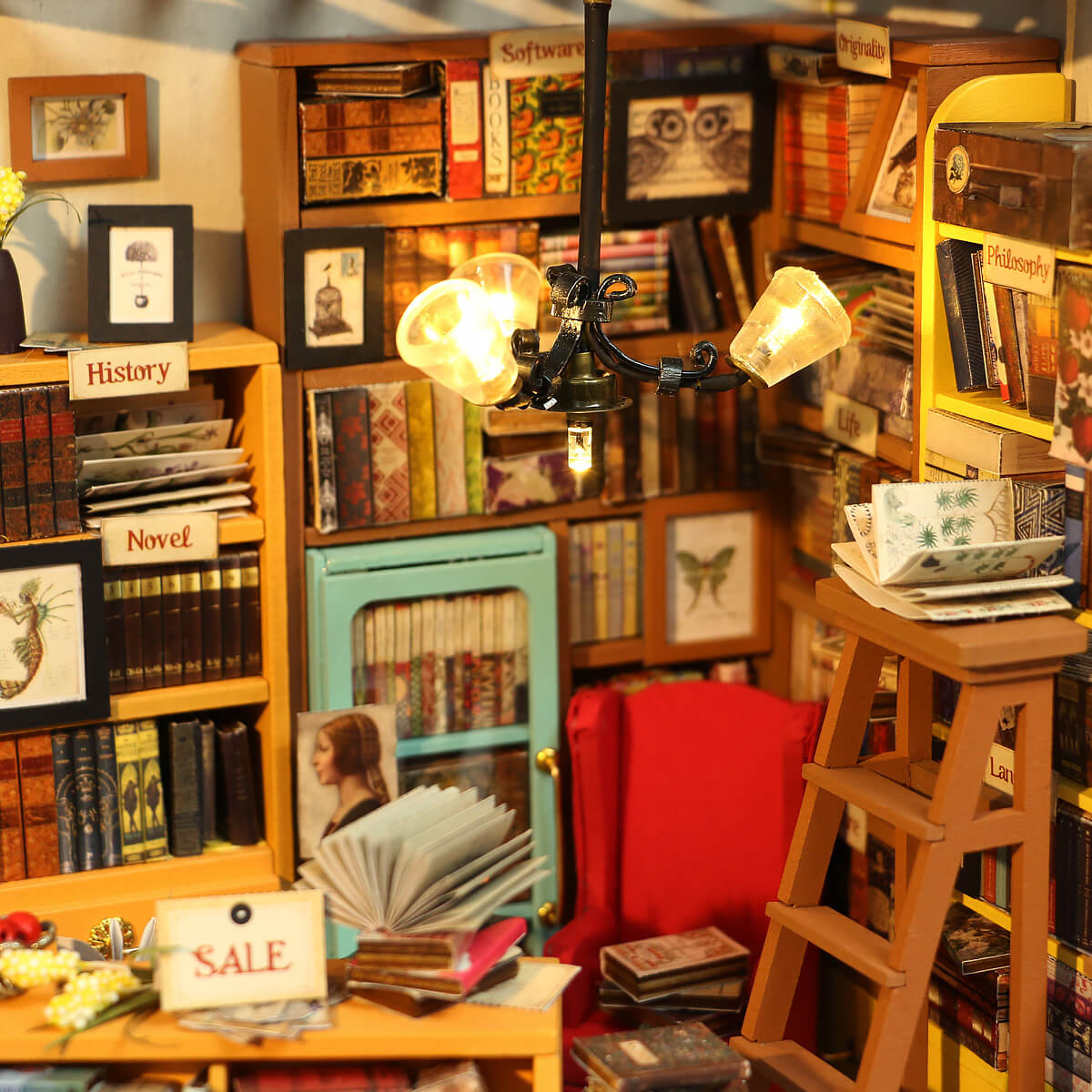 The Study